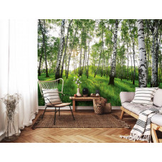 Eine Fototapete eines mystischen Birkenwaldes in einem traditionellen Wohnzimmer.