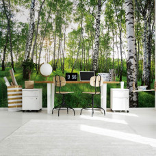 Eine Fototapete eines mystischen Birkenwaldes mit einem professionellen Look in einem Büro.