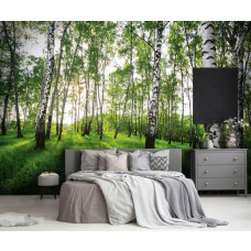 Eine Fototapete eines mystischen Birkenwaldes mit ruhigen Bäumen in einem Schlafzimmer.