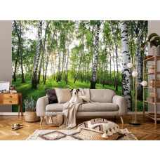 Eine Fototapete eines mystischen Birkenwaldes mit natürlichen Elementen in einem Wohnzimmer.