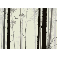 Eine Fototapete eines mystischen Waldes mit Schatten von hohen Bäumen, ideal für einen ruhigen Raum.