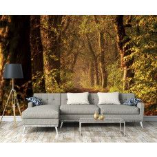 Fototapete in einem Wohnzimmer mit einem Waldweg zwischen hohen Bäumen, der scheinbar endlos weitergeht, mit einem tunnelartigen Effekt, der eine beeindruckende 3D-Perspektive schafft.