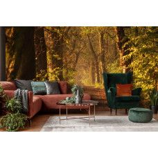 Fototapete mit einem Waldweg zwischen hohen Bäumen, der scheinbar endlos weitergeht, mit einem tunnelartigen Effekt, der eine beeindruckende 3D-Perspektive in einem Wohnzimmer schafft.