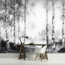 Fotobehang met een nevelig berkenbos in natuurlijke tinten in een stijlvolle werkkamer.
