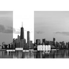 New York und Chicago Skyline Fototapete, die ikonische Stadtansichten darstellt, perfekt für einen modernen Raum.