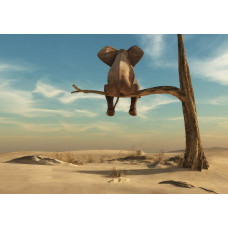 Elefant unter einem Baum in einer weiten Wüstenlandschaft, mit detaillierten Schatten und Texturen auf dieser Fototapete.