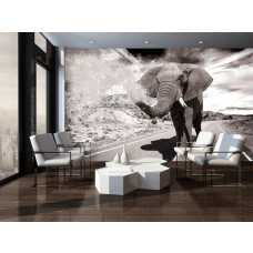 Eine Fototapete eines dynamischen Elefanten, der sich in einem Wohnzimmer bewegt.