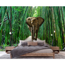 Fototapete eines Elefanten im Dschungel mit Bambus in einem beruhigenden Schlafzimmer.