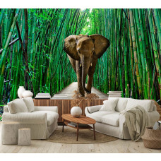Fototapete eines Elefanten im Dschungel mit Bambus in einem Vliestapetenstil für ein Wohnzimmer.