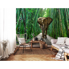 Fototapete eines Elefanten im Dschungel mit Bambus in einem stimmungsvollen Wohnzimmer.