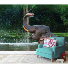 Fotobehang Olifant in het water, met een olifant die speelt in het water en spetters veroorzaakt door het zwaaien met zijn slurf in een kantoor.