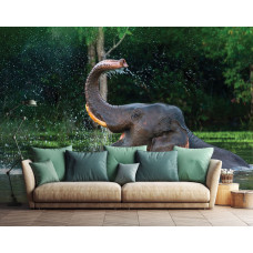 Fotobehang Olifant in het water, met een olifant die speelt in het water en spetters veroorzaakt door het zwaaien met zijn slurf op een vliesbehang in een woonkamer.