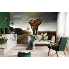 Eine Fototapete mit einem Elefanten im Vliestapeten-Stil, passend für eine moderne Küche.