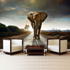 Eine Fototapete mit einem Elefanten im Vliestapeten-Stil in einem ruhigen Schlafzimmer.