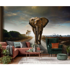 Eine Fototapete mit einem Elefanten im Vliestapeten-Stil, ideal für ein stimmungsvolles Wohnzimmer.