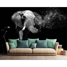 Eine Fototapete mit einem Elefanten vor schwarzem Hintergrund, perfekt für ein stilvolles Wohnzimmer.