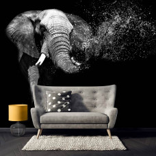 Eine Fototapete mit einem Elefanten vor schwarzem Hintergrund, ideal für ein ruhiges Schlafzimmer.