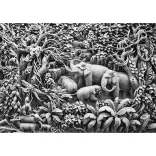 Detaillierte Fototapete von Elefanten im Dschungel, mit dem Schwerpunkt auf natürlicher Harmonie.