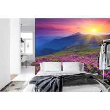 Eine Fototapete mit einer untergehenden Sonne, die die Berge beleuchtet, umgeben von Blumen und Natur, perfekt für ein Schlafzimmer.