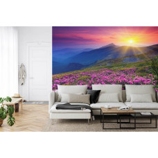 Eine Fototapete mit einem malerischen Bild einer untergehenden Sonne und einer farbenfrohen Blumenwiese, ideal für ein Wohnzimmer.