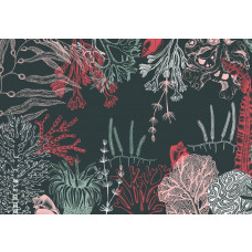 Unterwasserpflanzen und Korallenriffe in einer farbenfrohen Unterwasserwelt, Fototapete, die Tiefe und Frische bringt.