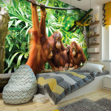 Eine Fototapete mit Orang-Utans in einem tropischen Dschungel, perfekt für ein Jungenzimmer.