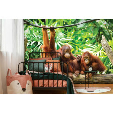 Eine Fototapete mit Orang-Utans in einem Dschungel, perfekt für ein Kinderzimmer.