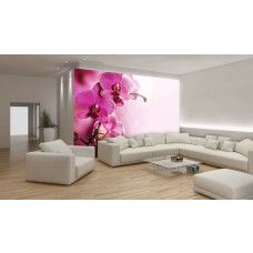 Eine Fototapete mit rosa Orchideen und grünen Blättern.