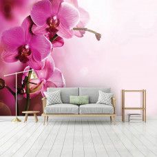 Eine Fototapete mit rosa Orchideen im Wohnzimmer.