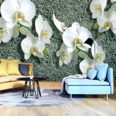 Eine Fototapete mit Orchideenblüten und einem dezenten Betonhintergrund für eine natürliche Atmosphäre.
