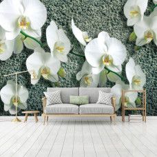 Eine Fototapete mit Orchideenblüten auf einem Betonhintergrund, geeignet für ein Schlafzimmer oder Wohnzimmer.