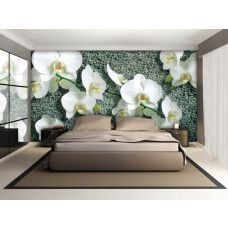 Eine Fototapete mit weißen Orchideenblüten auf einem Betonhintergrund, ideal für ein Wohnzimmer.