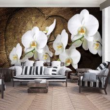 Eine Fototapete mit weißen Orchideenblüten in einer ruhigen Umgebung, geeignet für ein Schlafzimmer und Wohnzimmer.