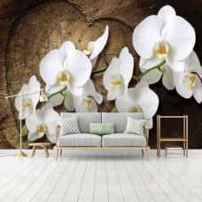 Eine Fototapete mit Orchideenblüten in einer natürlichen Umgebung, ideal für ein Schlafzimmer oder Wohnzimmer.