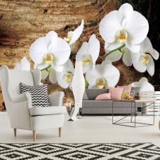 Eine Fototapete mit einem Baum mit Orchideenblüten vor einem natürlichen Hintergrund, ideal für ein Schlafzimmer oder ein Wohnzimmer.