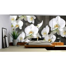 Eine Fototapete mit Orchideen auf Holzplanken, ideal für ein Schlafzimmer oder Wohnzimmer.