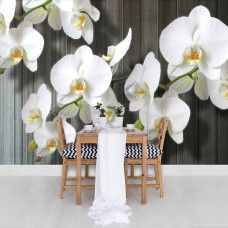 Eine Fototapete mit heiteren Orchideenblüten und einem Holzplankenhintergrund, geeignet für ein Esszimmer.