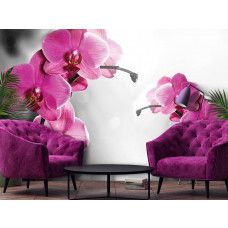 Eine Fototapete mit einer Nahaufnahme von rosafarbenen Orchideen in einer natürlichen Gartenumgebung.