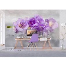 Eine Fototapete mit einer wunderschönen Orchideenblüte, die perfekt ist, um eine raffinierte Atmosphäre in einem Büro zu schaffen.