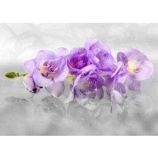 Eine Fototapete mit einer schönen Orchidee, die in jedem Raum eine elegante und frische Atmosphäre schafft.