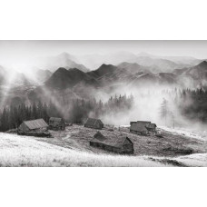 Fototapete mit einem alten Bauernhaus in den Bergen, umgeben von dichtem Wald und Natur.