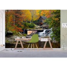 Fototapete einer alten Getreidemühle im Babcock State Park mit ländlicher und historischer Ausstrahlung fürs Büro.