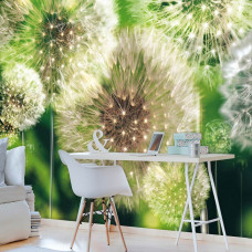 Eine Fototapete mit grünen Pusteblumen in einem abstrakten Stil, passend für eine Büroumgebung.