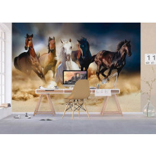 Fototapete von einigen Pferden, die durch die Wüste rennen, in einem Büro.