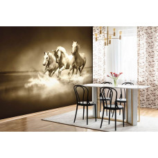 Fototapete mit galoppierenden weißen Pferden, die durch Wasser laufen, ideal für die Küche.