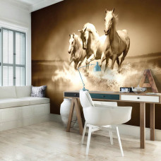 Fototapete mit Pferden, die durch Wasser laufen, geeignet für das Wohnzimmer.