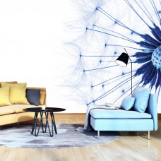 Fototapete Löwenzahn Blau