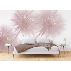 Ein Fototapet von einem Löwenzahn-Detail in einem Schlafzimmer mit Airtex und Vliesbehang.