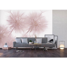 Ein Fototapet von einem Löwenzahn-Detail in einem Wohnzimmer.