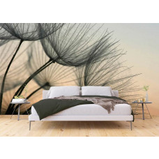 Ein Schlafzimmer mit einer Fototapete einer Pusteblume im Abendlicht.